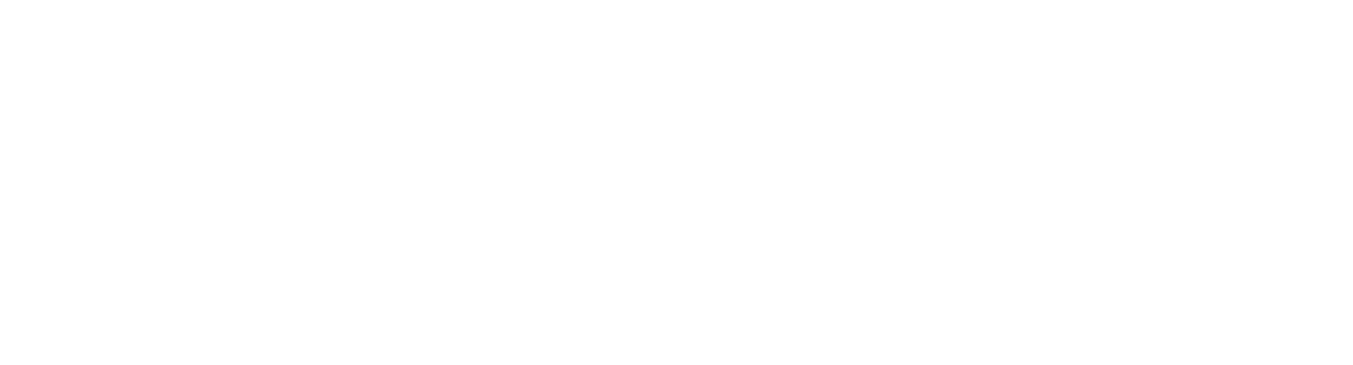 NEL Professionals